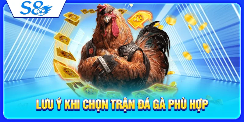 Lưu ý khi chọn trận đá gà phù hợp