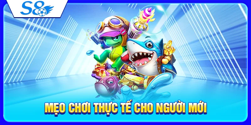 Mẹo chơi thực tế cho người mới