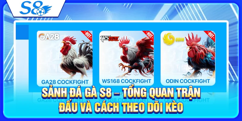 Sảnh Đá Gà S8 – Tổng Quan Trận Đấu Và Cách Theo Dõi Kèo